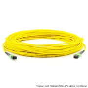 48 Fibers Single-Mode 24 Strands MPO Trunk Cable 3.0mm LSZH/Riser